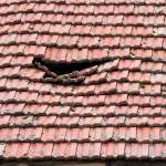 storm damage
